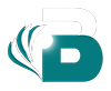 Birk Group